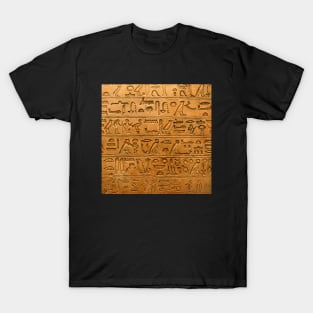 Egyptian hieroglyphics T-Shirt